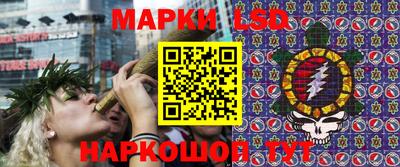 гашик Будённовск