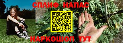 гашик Будённовск