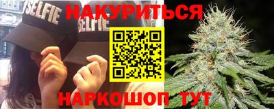 гашик Будённовск
