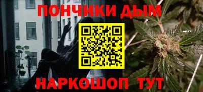 гашик Будённовск