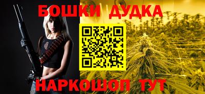 гашик Будённовск