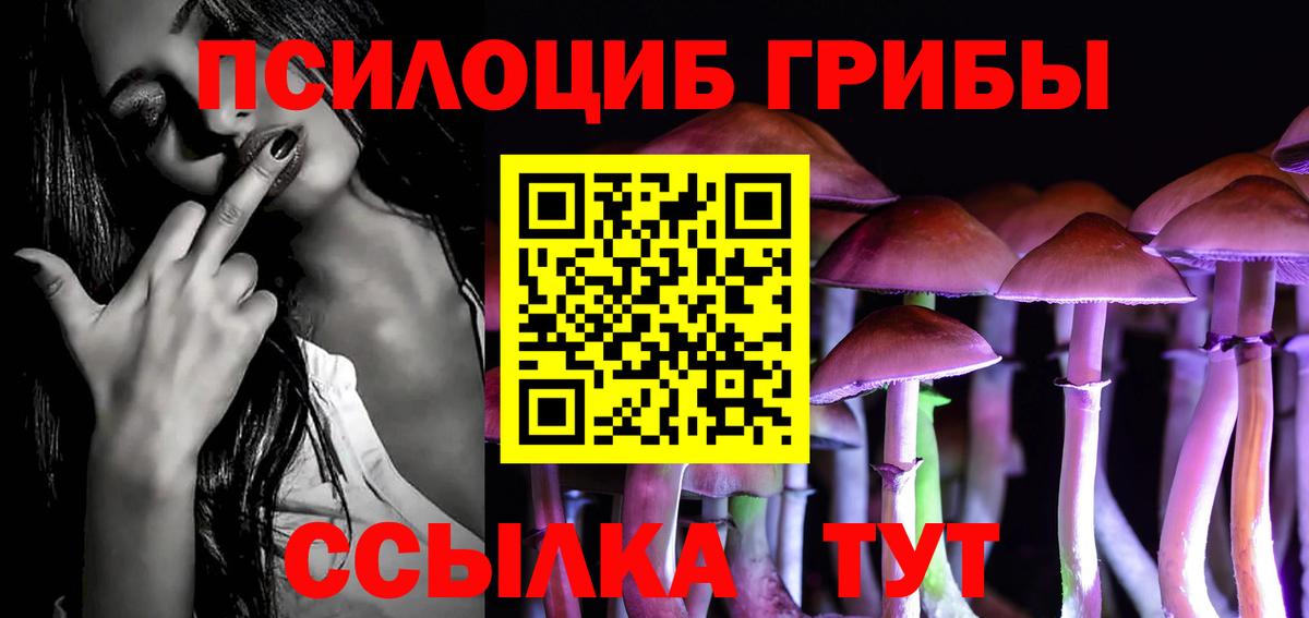 купить наркотики сайты  Вход с VPN  Фрязино  Галлюциногенные грибы ЛСД 